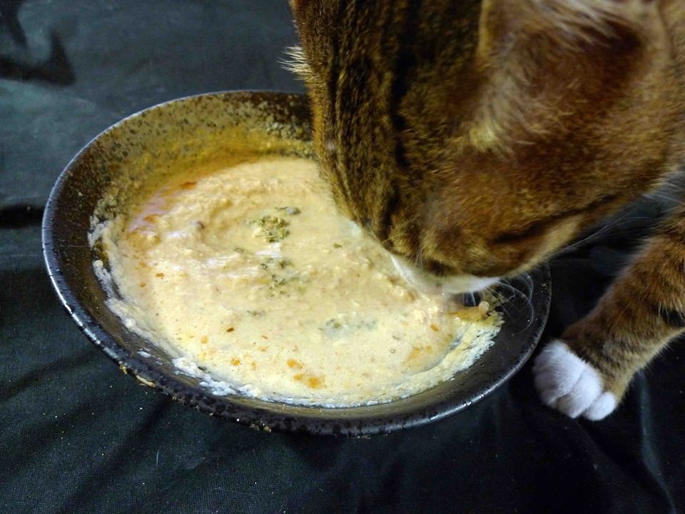 U-stew for Cats – 熟食預拌粉 (自製熟肉主食餐) 04/12更新–在最下方