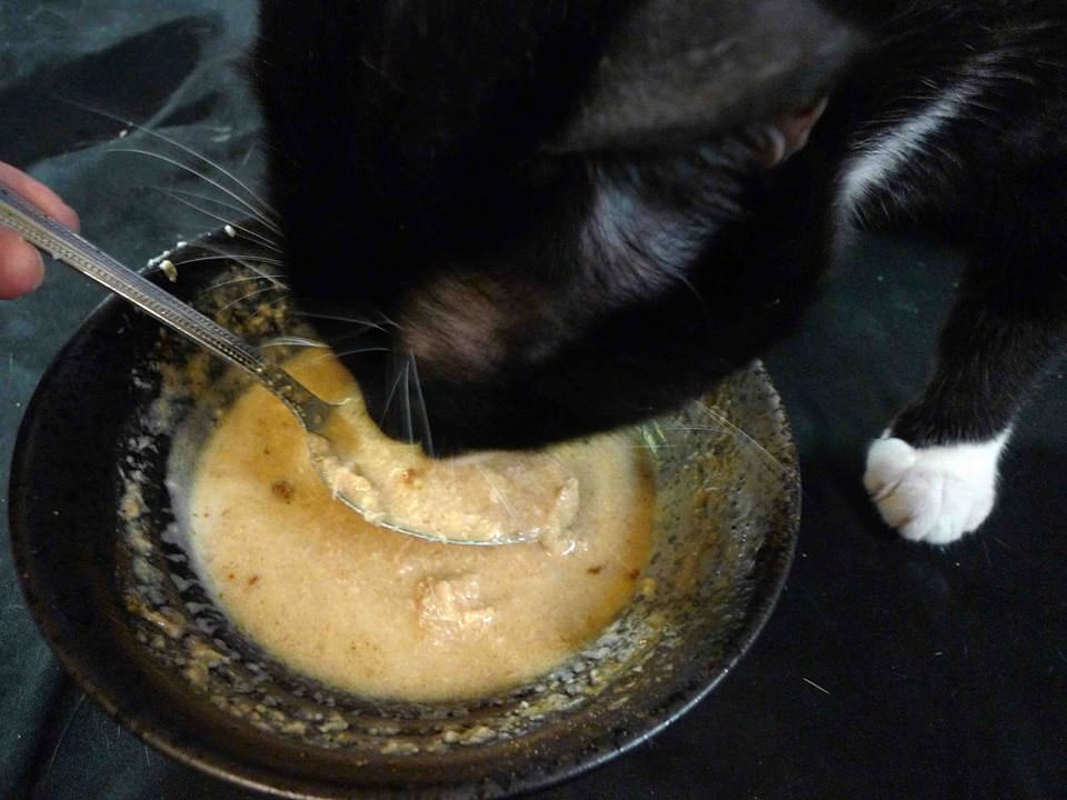 U-stew for Cats – 熟食預拌粉 (自製熟肉主食餐) 04/12更新–在最下方