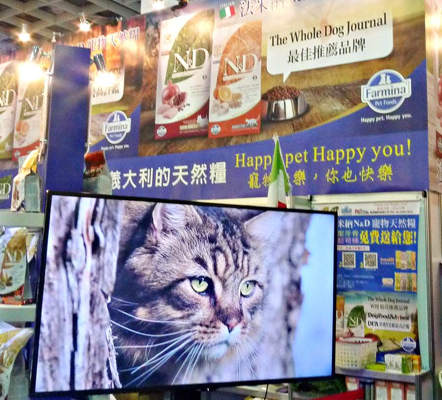 2016 南港寵物展